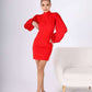 Mock Neck Puffed Satin Sleeve Body-con Mini Dress